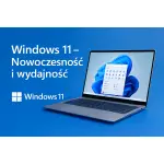 Windows 11